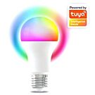 LED GLS mat RGB E27 9W dimbaar SMART Wi-Fi TUYA