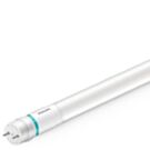 Philips LED Tube T8 60cm 8W 3000K - Energiezuinig