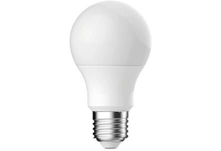 Energetic LED GLS E27 13,3-100W 2700K mat