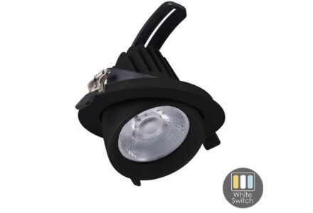 LED downlighter zwart 30W banaan model 60gr. Tri-White