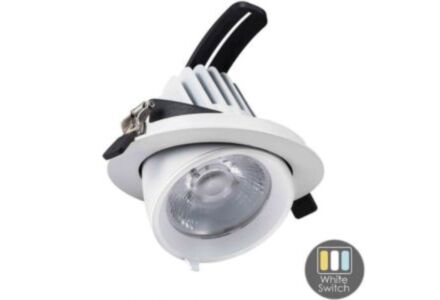 Profolux LED Downlighter 30W Tri-White