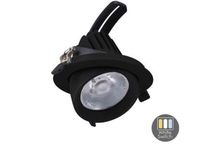 LED downlighter zwart 30W 3CCT banaan model 60gr